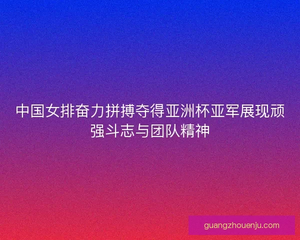 中国女排奋力拼搏夺得亚洲杯亚军展现顽强斗志与团队精神